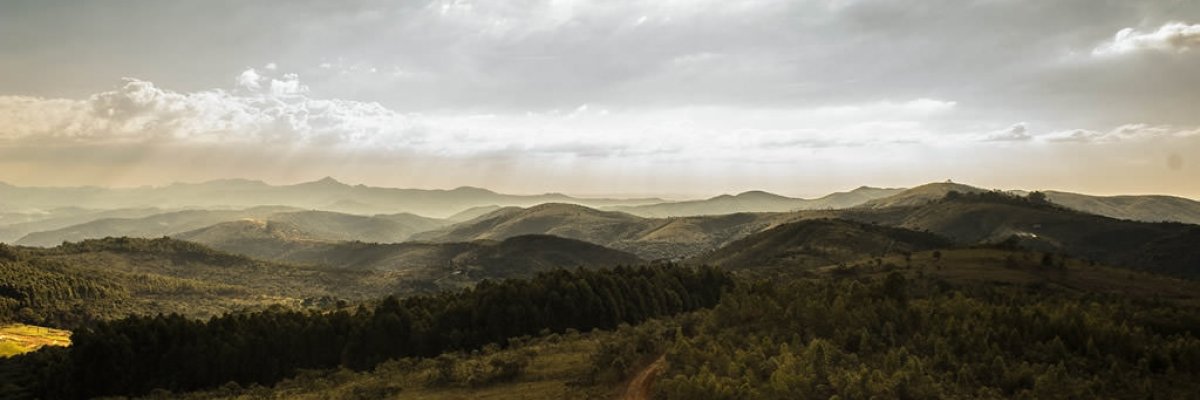 Sunlight over forested hills, with a dirt road winding through them