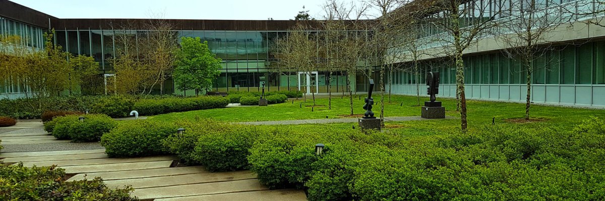 SFU Djavad Mowafaghian Courtyard